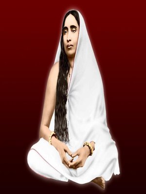 cover image of The Holy Mother – Sri Sri Sarada Devi